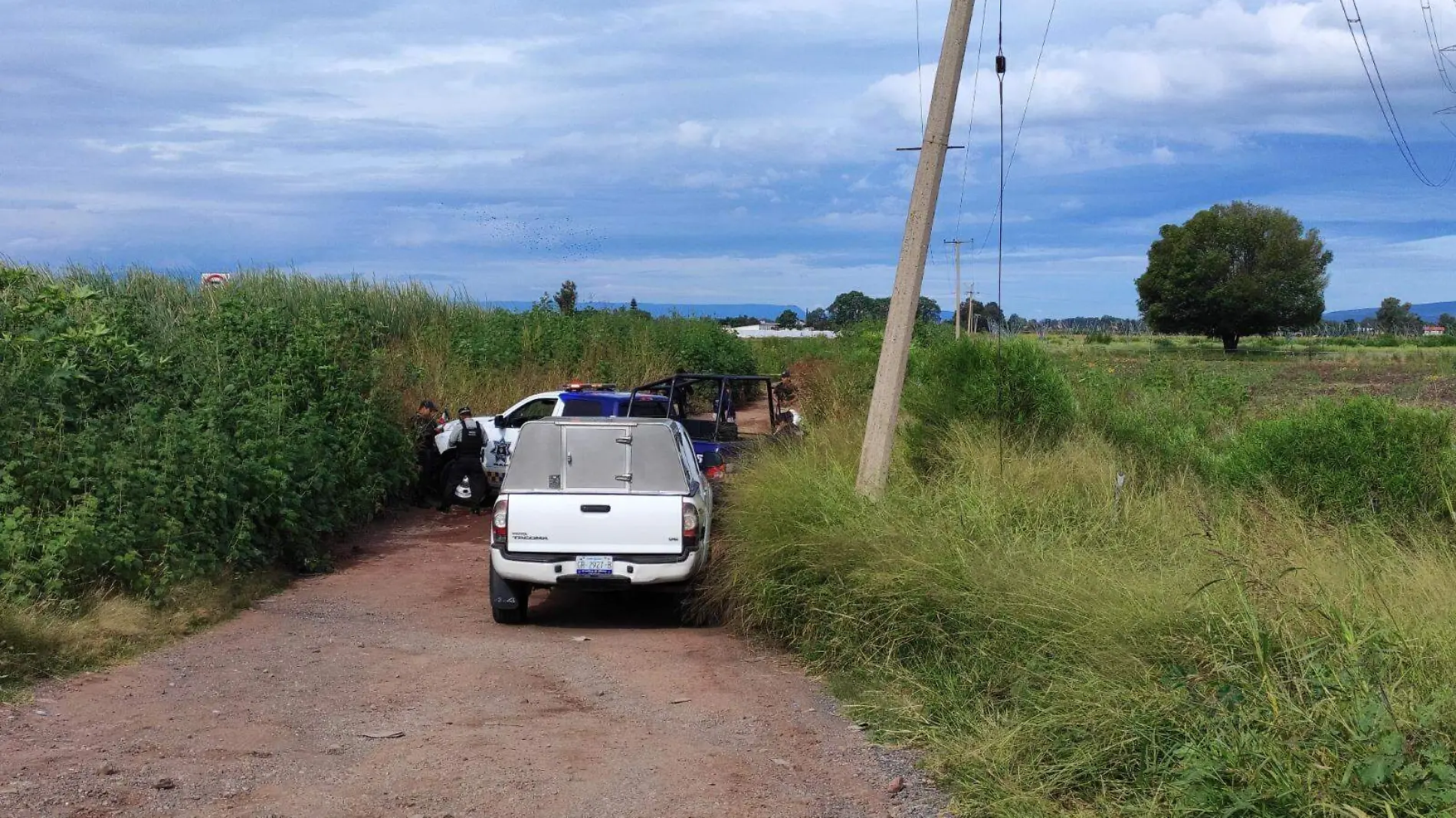 Hallan cadáver de una persona en camino terracero de Irapuato (2)